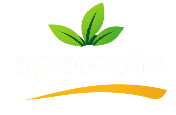 file_00000000c4d072078ef5d4227ba3ea6b